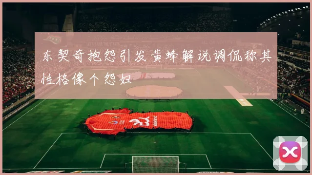 东契奇抱怨引发黄蜂解说调侃称其性格像个怨妇